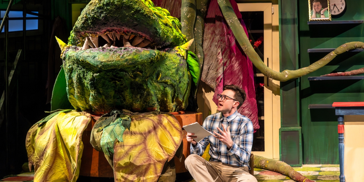 Review: LITTLE SHOP OF HORRORS at North Shore Center For The Performing Arts, Skokie, IL Photo