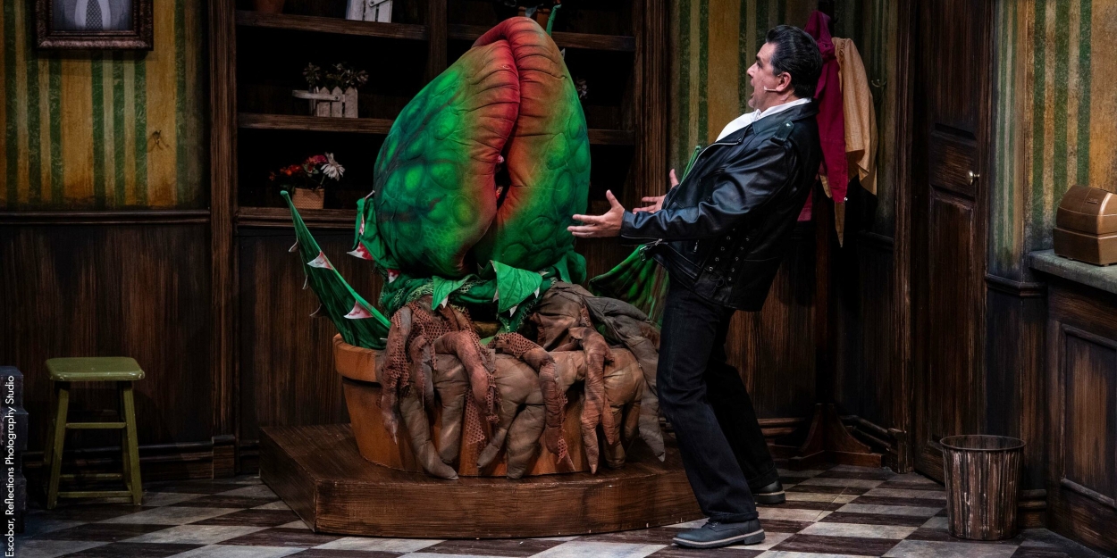 Review: LITTLE SHOP OF HORRORS at PCPA: Solvang Festival Theater 