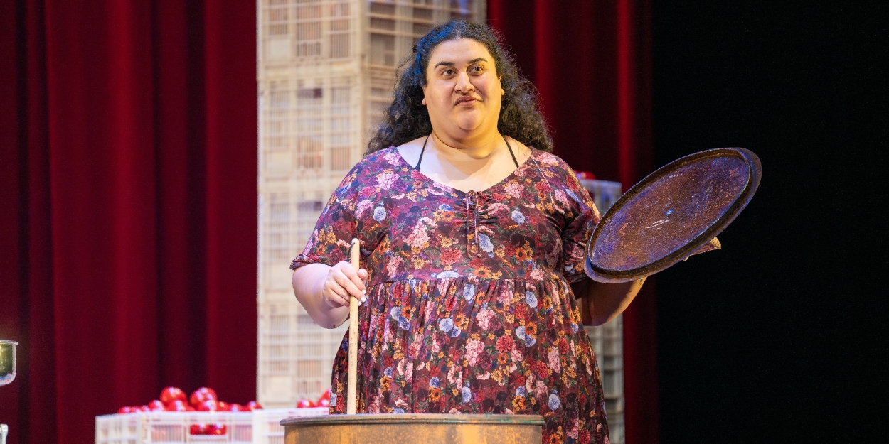 Review: LOOKING FOR ALIBRANDI at Dunstan Playhouse, Adelaide Festival Centre