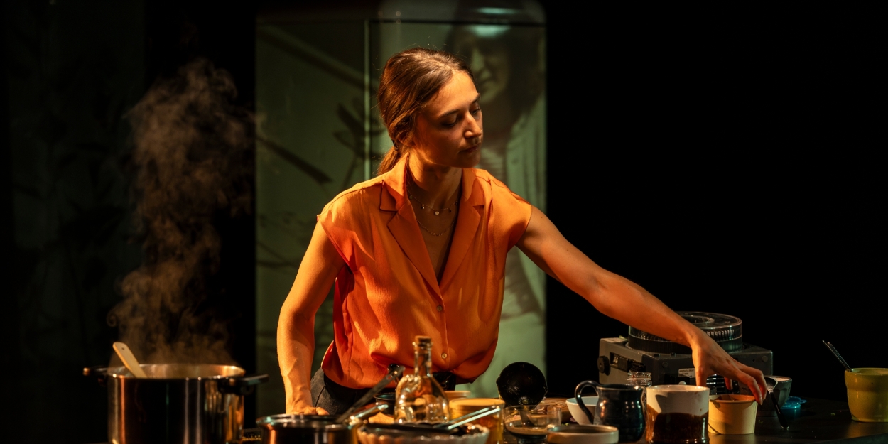 Review: MY ENGLISH PERSIAN KITCHEN, Soho Theatre