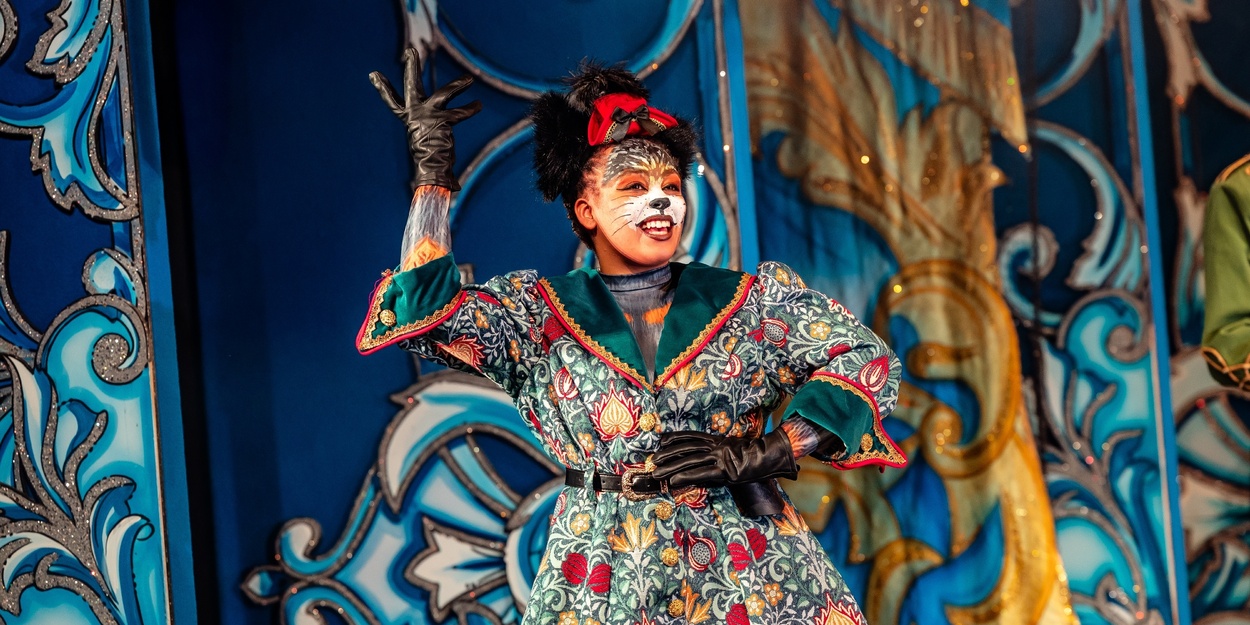 Review: PUSS IN BOOTS, Theatre Royal Winchester Photo