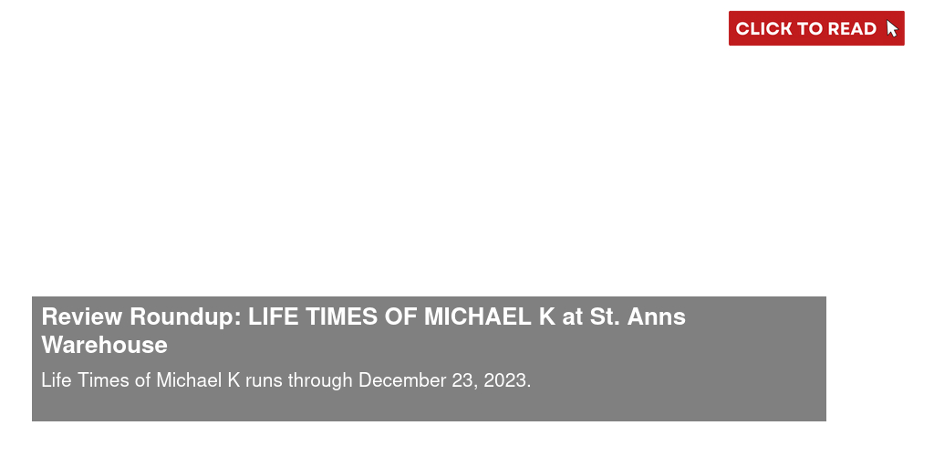 Review Roundup: LIFE & TIMES OF MICHAEL K at St. Ann's Warehouse - Vimarsana News