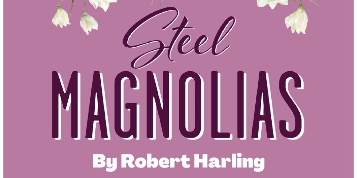 Review: STEEL MAGNOLIAS at Connecticut Theatre Company  Image