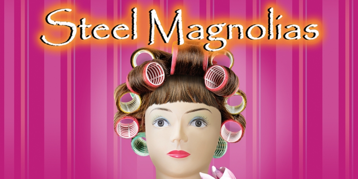 Review: STEEL MAGNOLIAS at Theatre Memphis