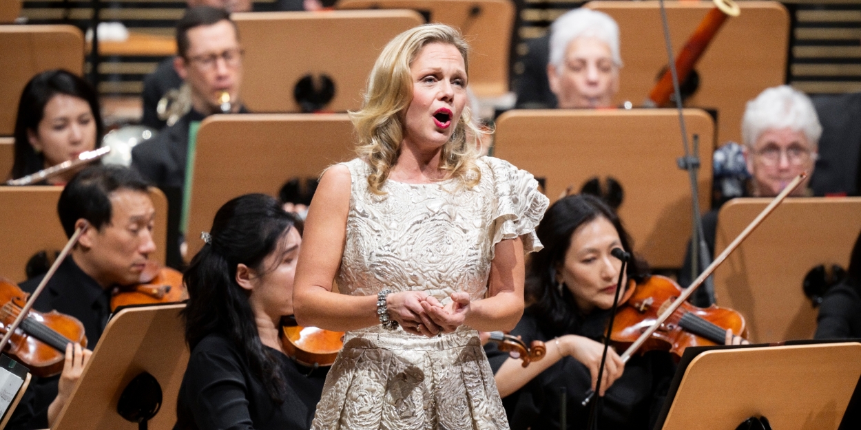 Review: STRAUSS AND SIBELIUS at the NY Philharmonic  Image