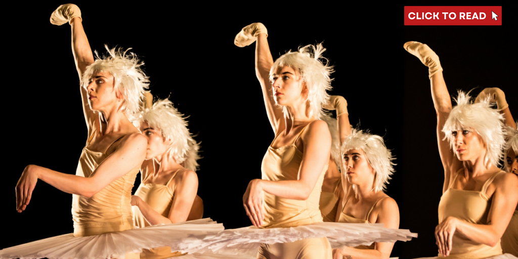 Review: SWAN LAKES AND MINUS 16 at Harbourfront Centre - Vimarsana News