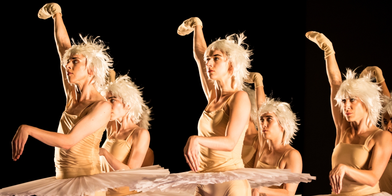 Review: SWAN LAKES AND MINUS 16 at Harbourfront Centre Photo