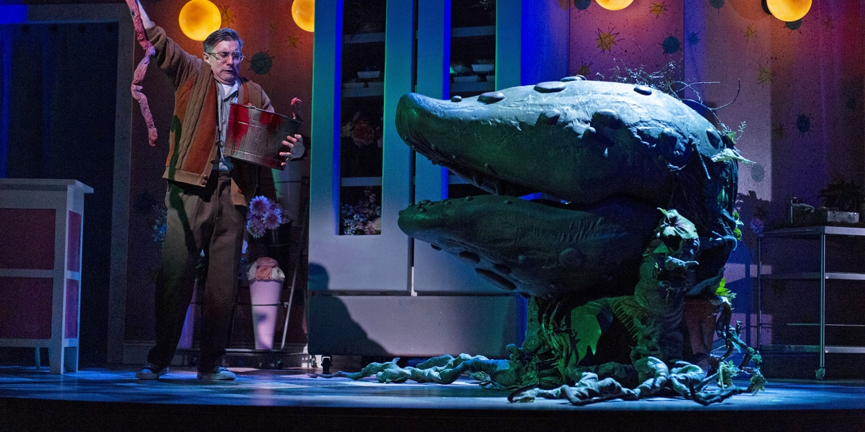 Review: South Coast Repertory Presents LITTLE SHOP OF HORRORS Photo