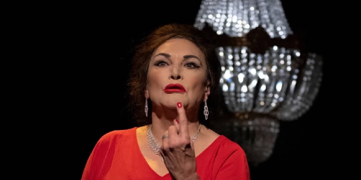 Review: THE OPERA SINGER at Baxter Studio