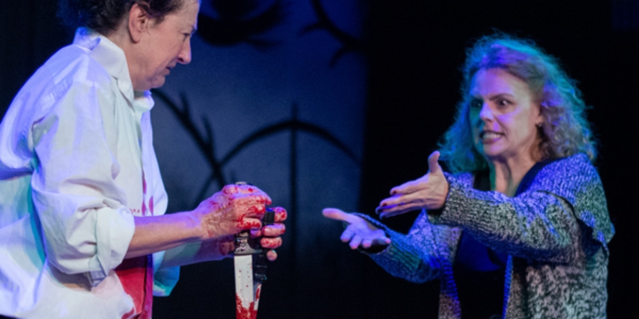 Review: THE TRAGEDIE OF MACBETH at Taffety Punk  Image