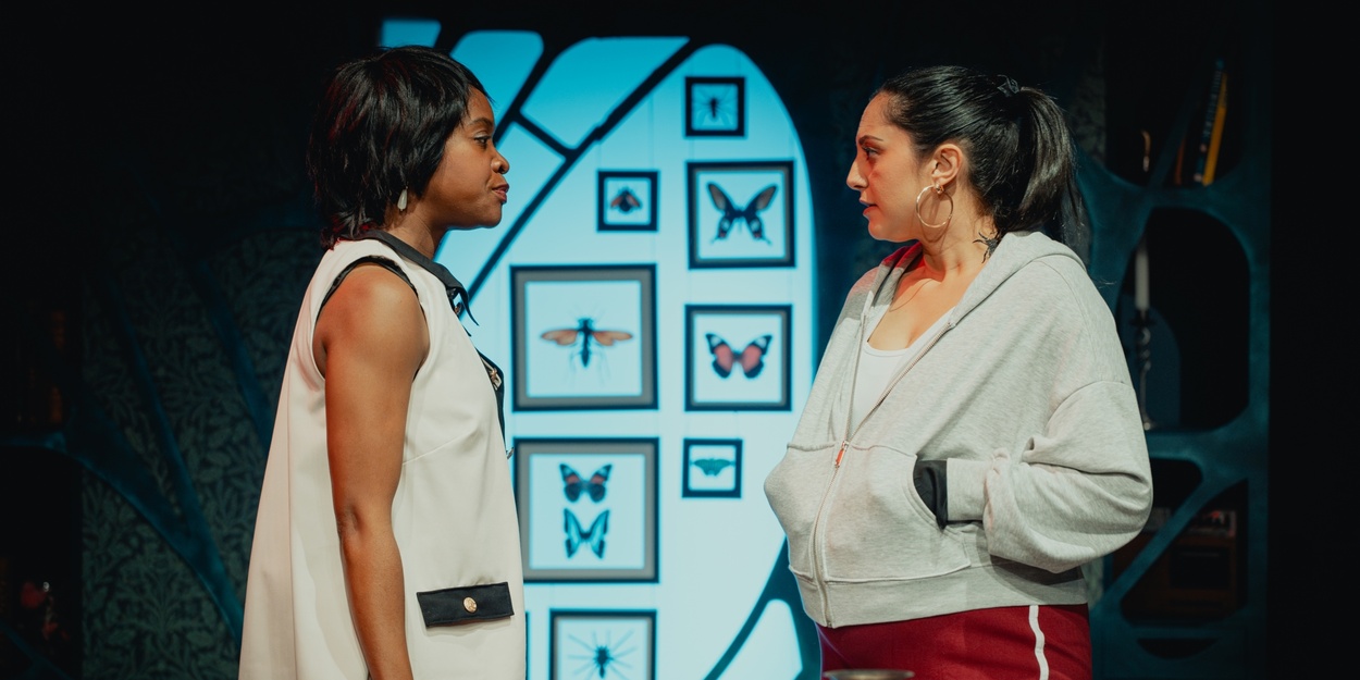 Review: THE WASP, Southwark Playhouse