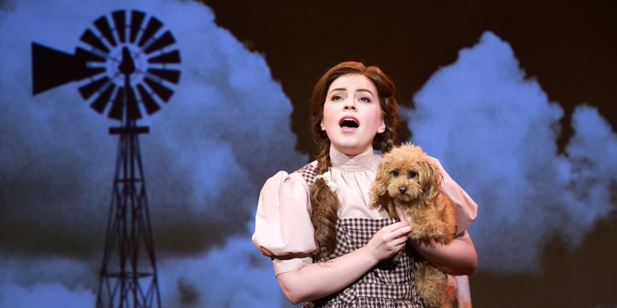 Review: THE WIZARD OF OZ at Beef & Boards Dinner Theatre