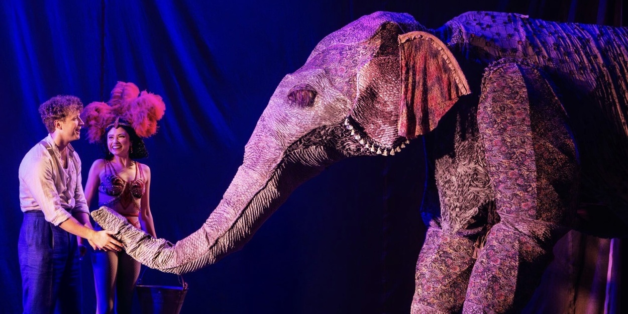 Review WATER FOR ELEPHANTS at Shea’s Buffalo Theatre