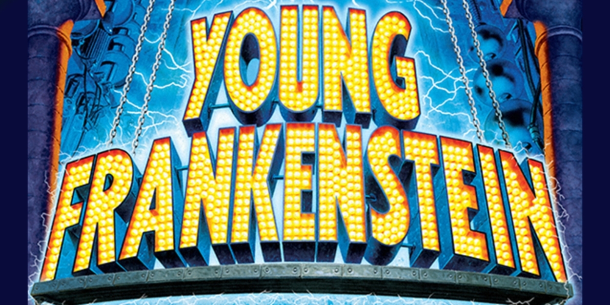 Review: 'If You're Blue and You Don't Know Where To Go To Why Don't You Go' to CMPAC's YOUNG FRANKENSTEIN