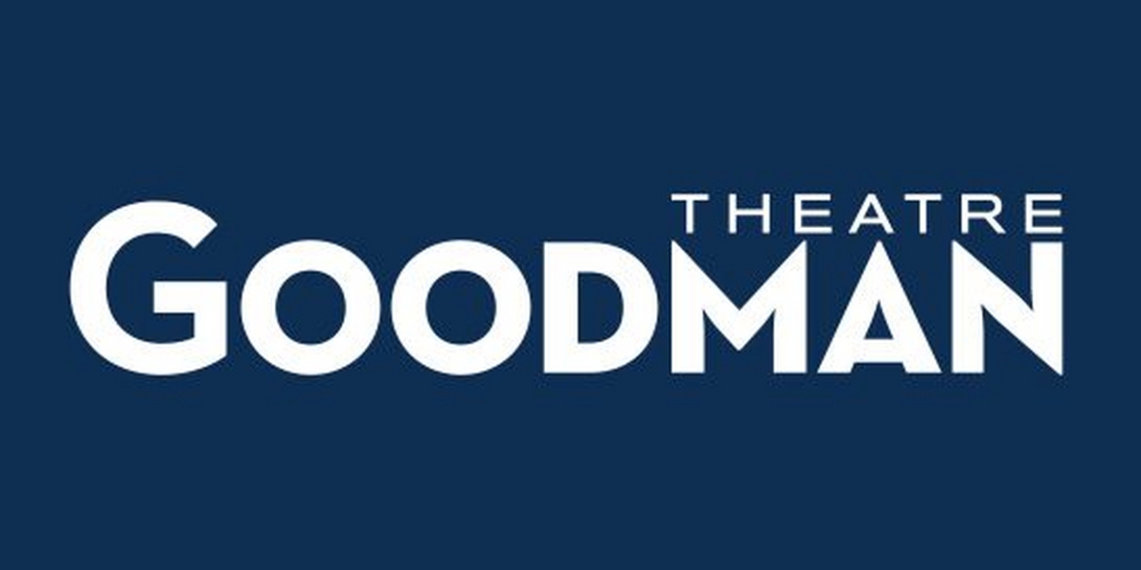 Roche Schulfer Will Step Down as Executive Director/CEO at the Goodman Theatre 