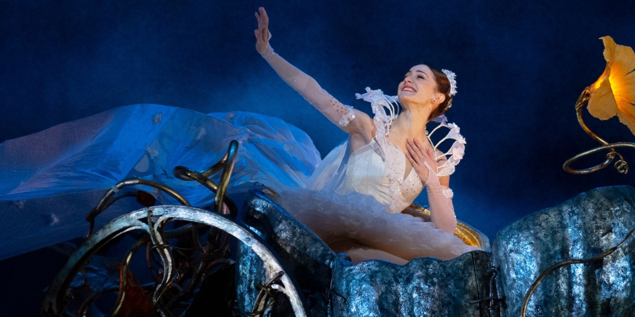 Royal Ballet and Opera Searches For First Principal Partner of The Royal Ballet  Image