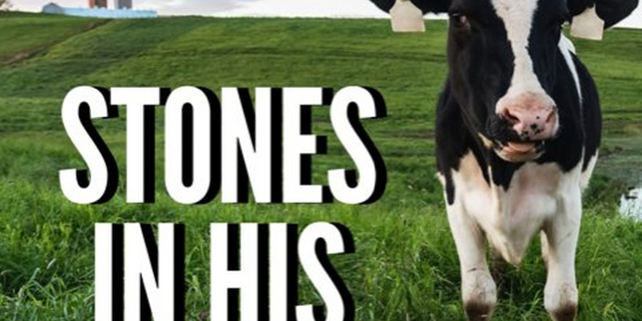 STONES IN HIS POCKETS Comes to The Weathervane Theatre 