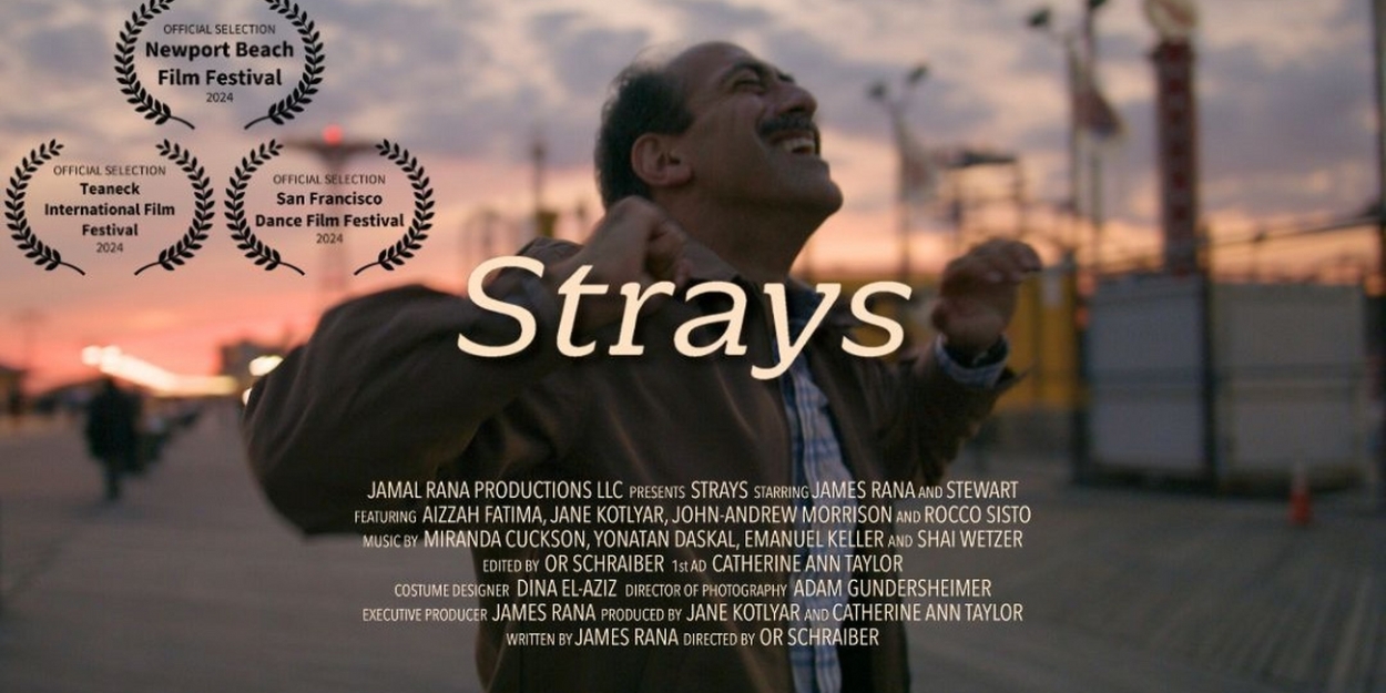 STRAYS to Screen at Delancey Street Theater in October  Image