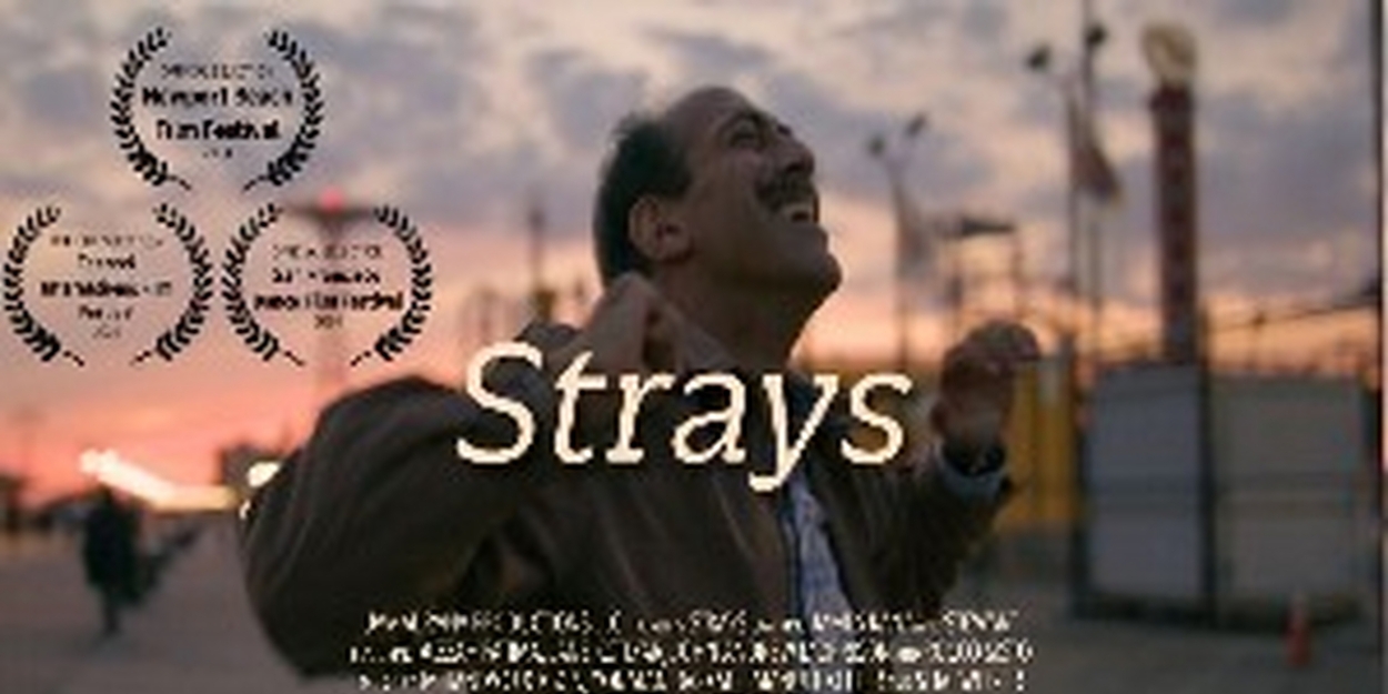 STRAYS To Premiere As Part of New York Shorts International Film Festival  Image