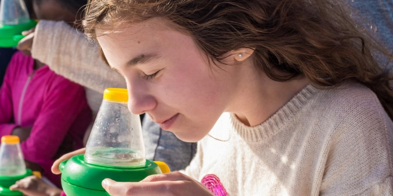 South Street Seaport Museum to Present Monthly Family Activity Weekends: Sailors Scrimshaw  Image