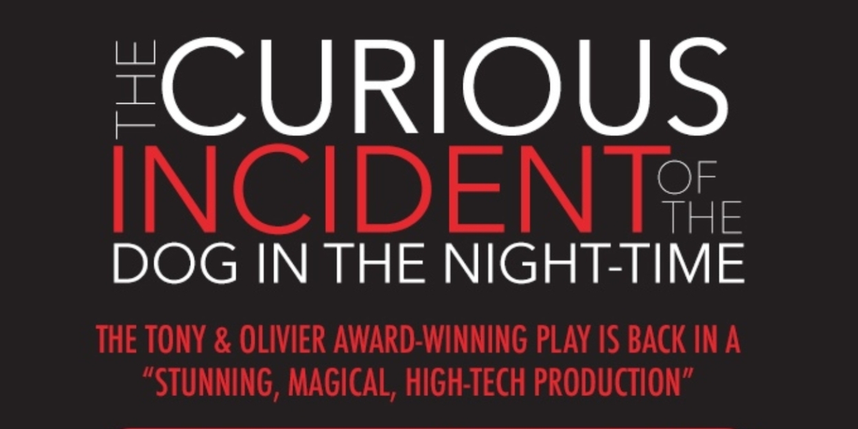 Spotlight: THE CURIOUS INCIDENT OF THE DOG IN THE NIGHT-TIME at Lewis Family Playhouse  Image