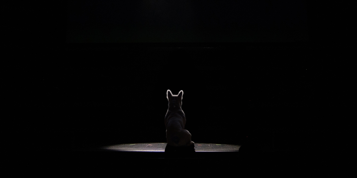 Student Blog: Animals Go To Broadway  Image