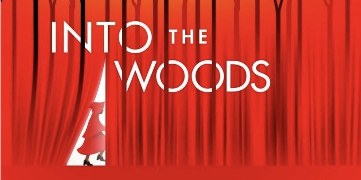 Student Blog: Moments In The Woods