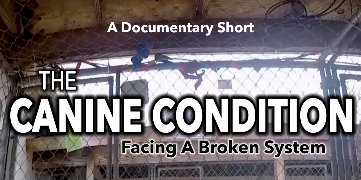 《犬类现状：面对破碎的系统》纪录短片将参加第19届洛杉矶国际女性电影节竞赛