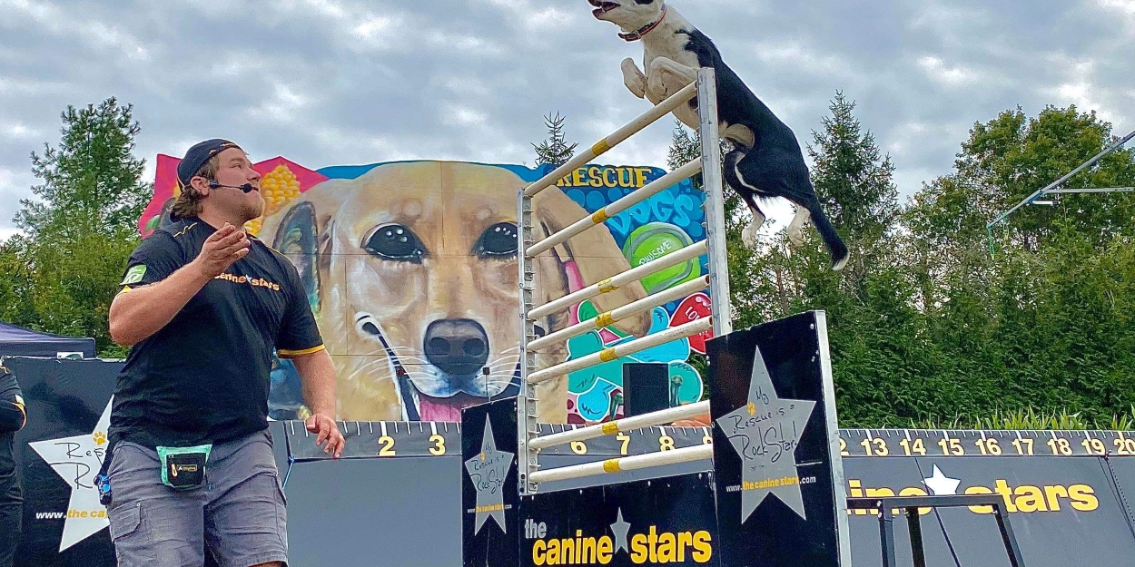 THE CANINE STARS STUNT DOG SHOW Comes to State Theatre New Jersey 