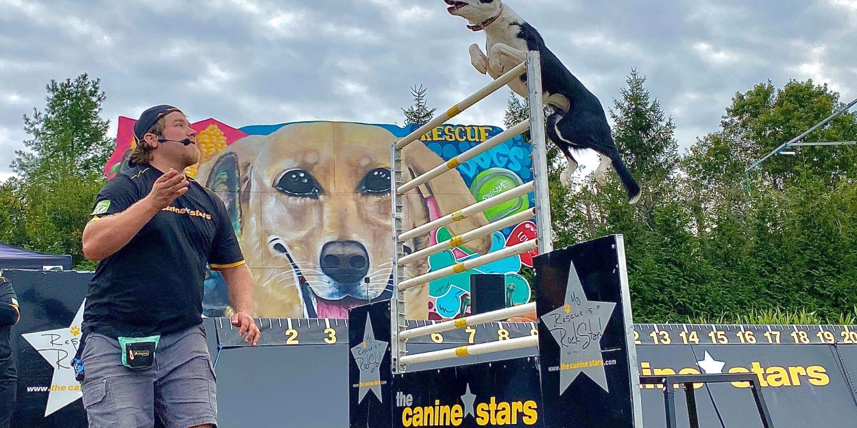 THE CANINE STARS STUNT DOG SHOW Comes to State Theatre New Jersey