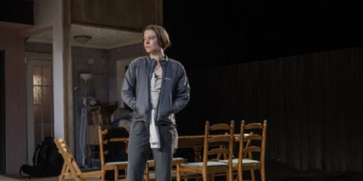 THE OTHER PLACE Will Be Available to Stream on National Theatre At Home  Image