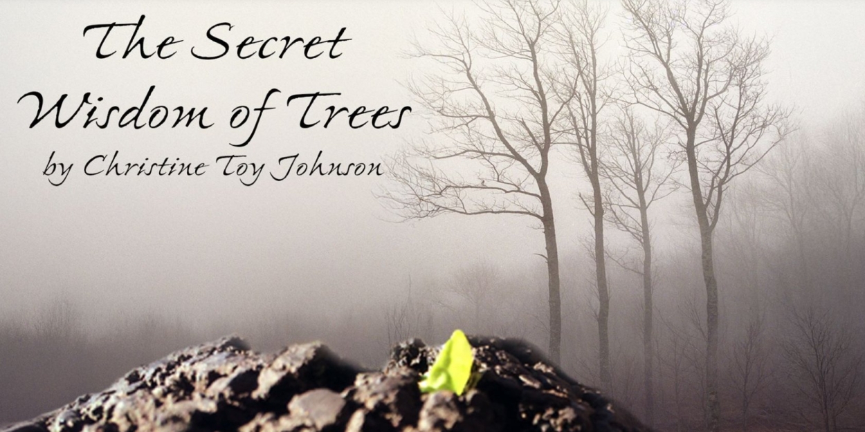 THE SECRET WISDOM OF TREES Available For Licensing From Thirty Saints Productions  Image