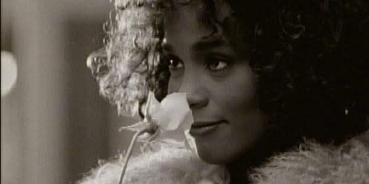 The Town Hall to Present THE VOICE OF WHITNEY: A Symphonic Celebration on Valentine's Day Weekend  Image