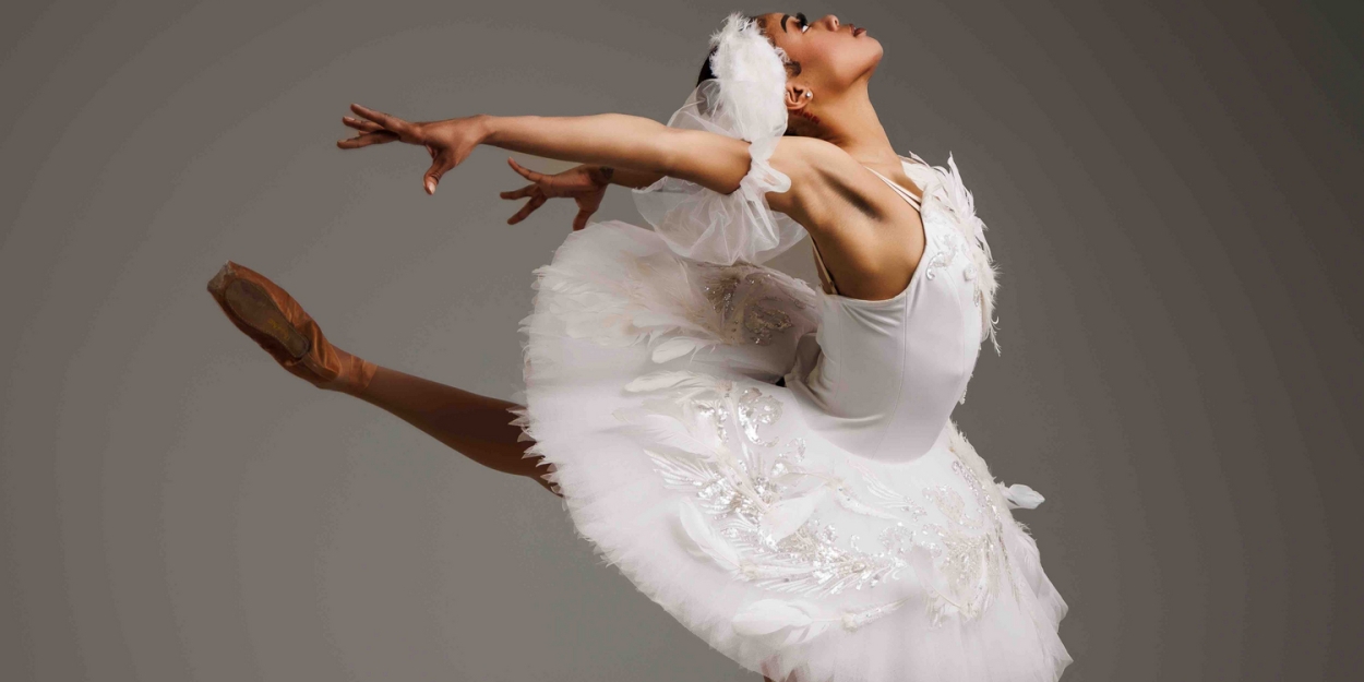 Tickets On Sale For All Black And Brown Swan Lake: BLACK SWAN at Mandel Theater Photo