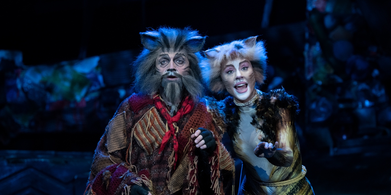 Tickets on Sale This Week For CATS at Theatre Royal Sydney  Image