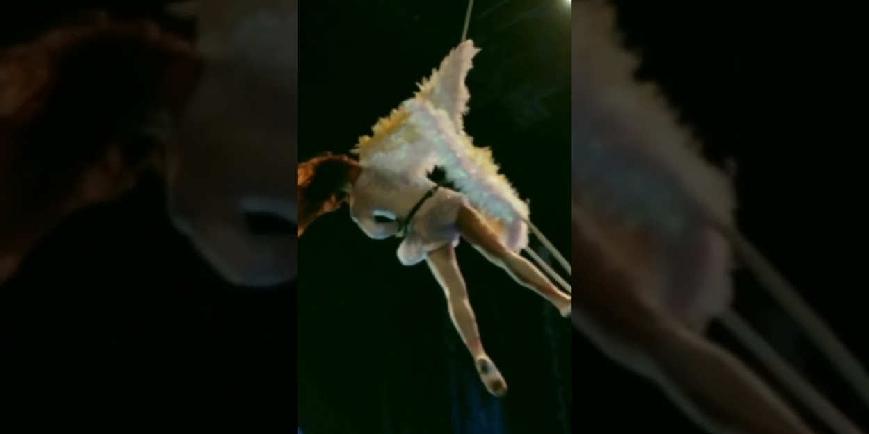 VIDEO: Moby Dick - A Theatrical Aerial Adventure Like Never Before