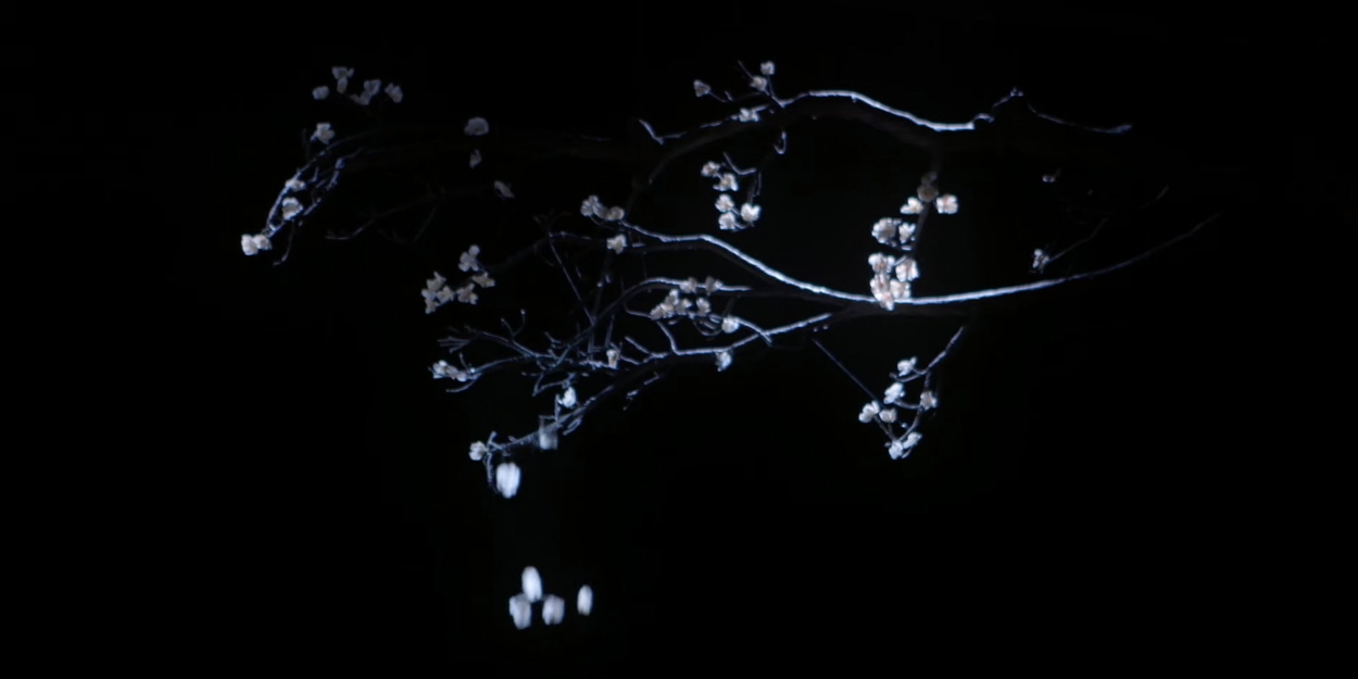 VIDEO: New Trailer For The Royal Opera's MADAMA BUTTERFLY Video