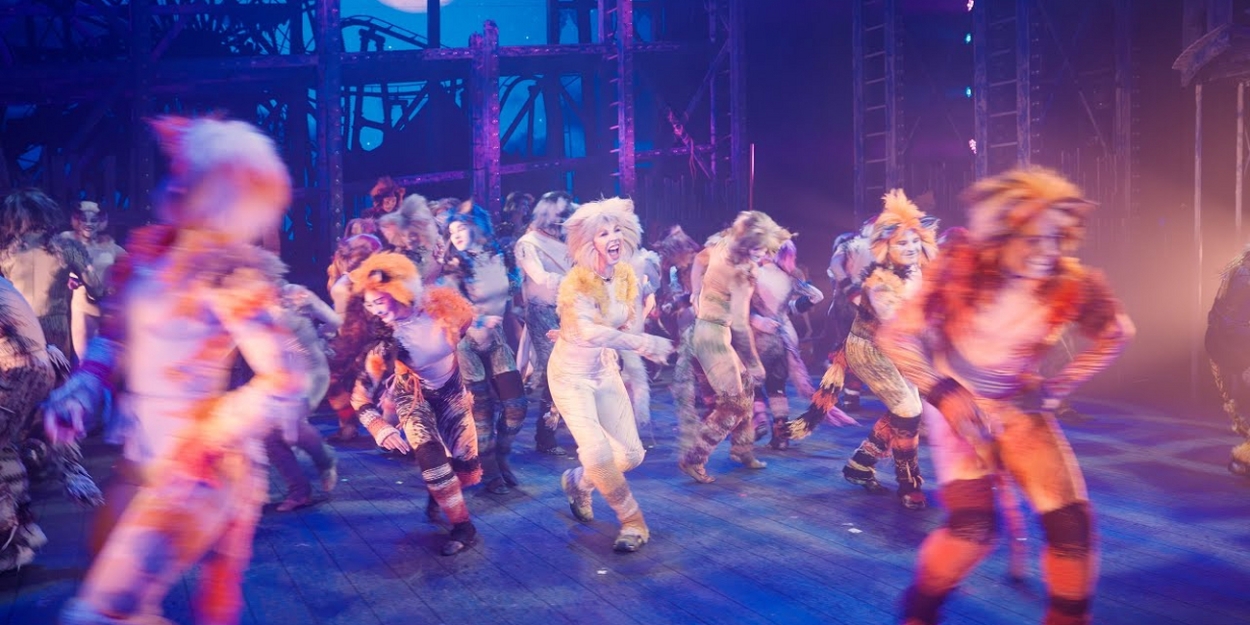 Video: First Look at Immersive CATS at the Fulton Theatre Video