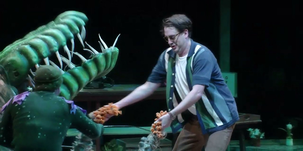 Video: Watch Songs From LITTLE SHOP OF HORRORS at the Marriott Theatre Video