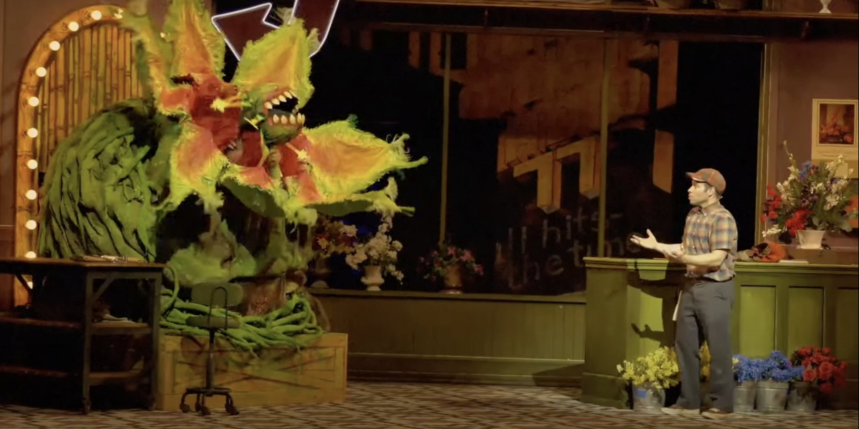 Video New Teaser Trailer for LITTLE SHOP OF HORRORS at The Muny