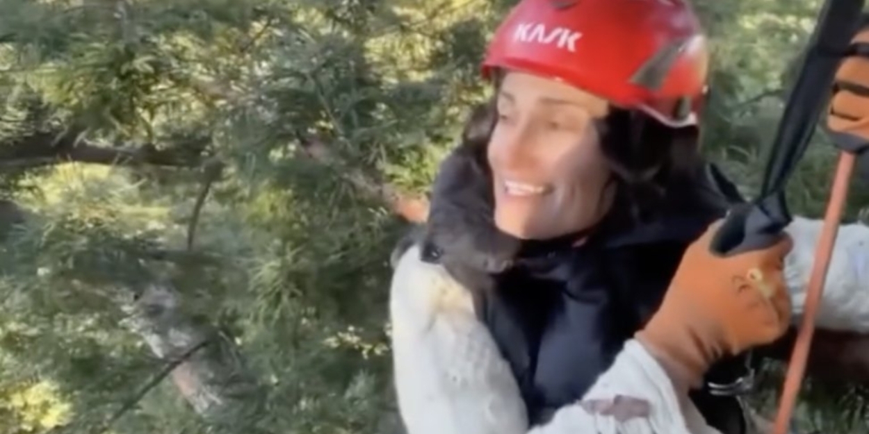 Video: Idina Menzel Performs From REDWOOD Atop a Real Redwood Tree