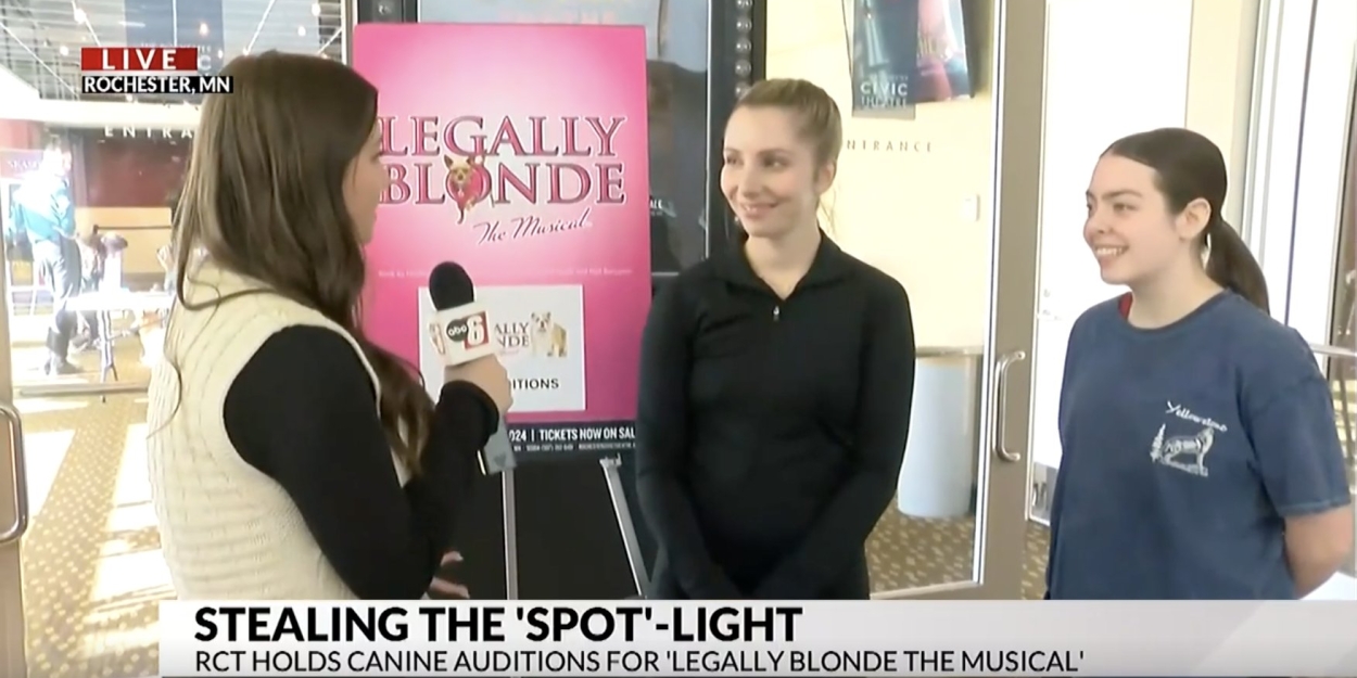 Video: Rochester Civic Theater Holds Dog Auditions for LEGALLY BLONDE