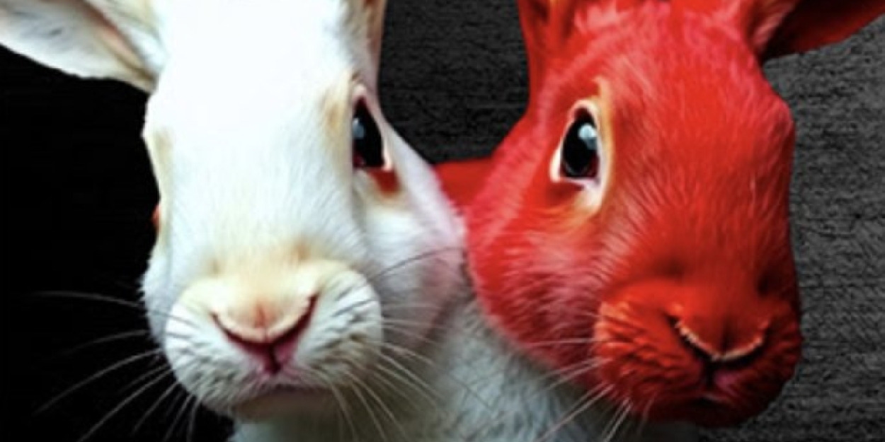WHITE RABBIT RED RABBIT LA Premiere is Coming to Fountain Theatre