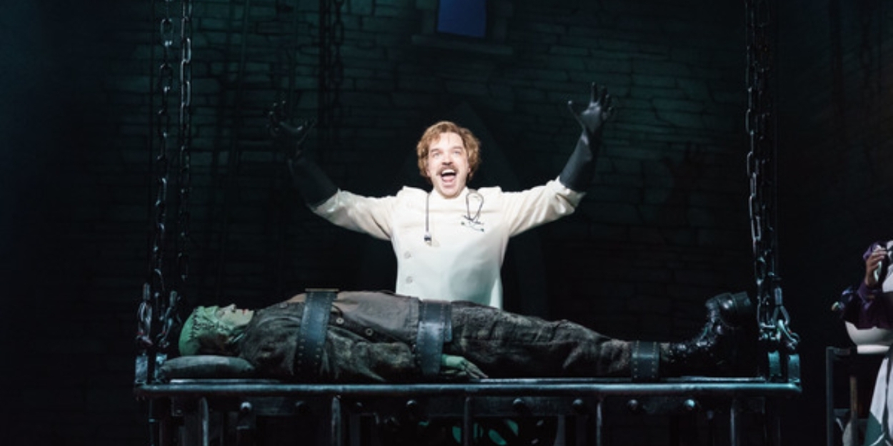 YOUNG FRANKENSTEIN Spin-off Series in the Works at FX Photo