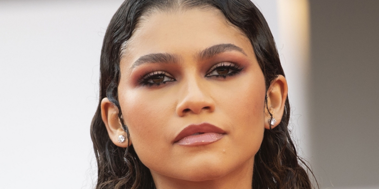 Zendaya Auditioned for DESCENDANTS Movie 'Many Times'  Image