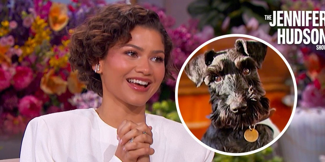 Zendaya Says Tom Holland Walks Her Dog When She's Away Video