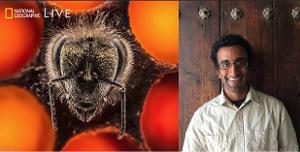 National Geographic Explorer and Photographer Anand Varma Tells The Story Behind Science Image