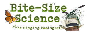 FSCJ Artist Series Beyond Broadway Presents BITE-SIZE SCIENCE Image