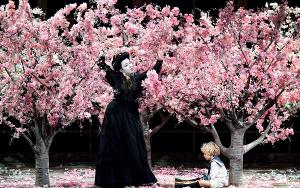 Opera Naples Hosts Exclusive Summer Opera Film Series Featuring MADAMA BUTTERFLY and More 