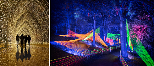 Holiday Light Event Lightscape Returns To The L.A. Arboretum Image